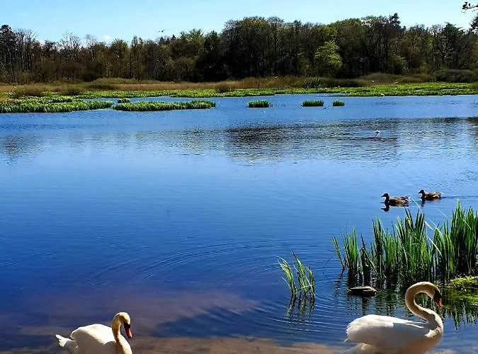 Apartament&spa 5 Mórz *