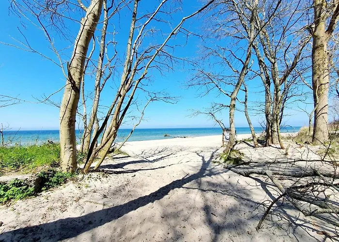 & 5 Morz * Sianożęty